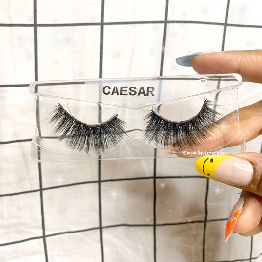 Caesar Lashes